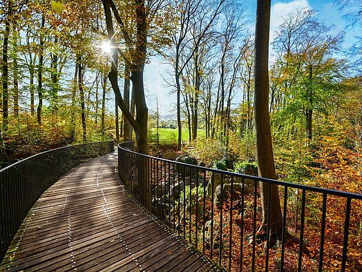 Brücke im Felsenmeer