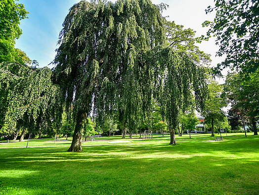 Park in Hemer Westig