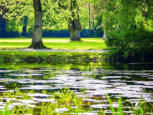 Park Schloss Edelburg